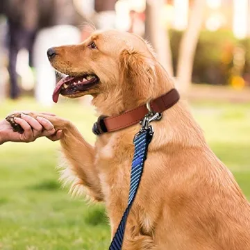 Hi Kiss 30ft Dog Training Leash – Perfect for Outdoors and Training