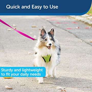 PetSafe Nylon Dog Leash – Strong, Durable, Traditional Style Leash with Easy to Use Bolt Snap for Small, Medium and Large Dogs - 3/4 in. x 6 ft., Raspberry