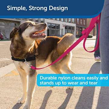 PetSafe Nylon Dog Leash – Strong, Durable, Traditional Style Leash with Easy to Use Bolt Snap for Small, Medium and Large Dogs - 3/4 in. x 6 ft., Raspberry