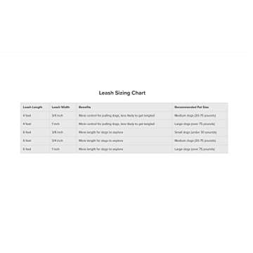 PetSafe Nylon Dog Leash – Strong, Durable, Traditional Style Leash with Easy to Use Bolt Snap for Small, Medium and Large Dogs - 3/4 in. x 6 ft., Raspberry