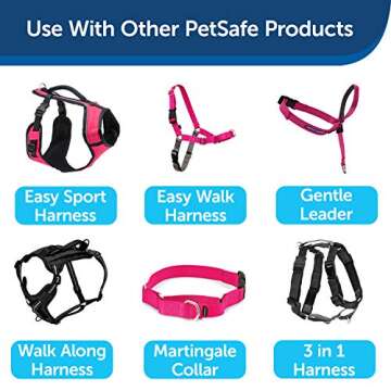 PetSafe Nylon Dog Leash – Strong, Durable, Traditional Style Leash with Easy to Use Bolt Snap for Small, Medium and Large Dogs - 3/4 in. x 6 ft., Raspberry