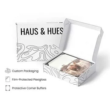 HAUS AND HUES Highland Cow Art and Farmhouse Wall Decor Cow Wall Art and Farmhouse Pictures | Cow Decor | Cow Prints Wall Art | Cow Pictures Wall Décor