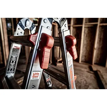 Little Giant Multi-Position Ladder, 22 Ft, Sturdy & Versatile, 300 lbs