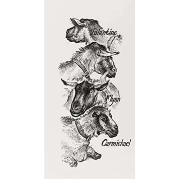 Faber-Castell Pitt Artist Pen 167115 India Ink Pens Pack of 4 M F S XS Black