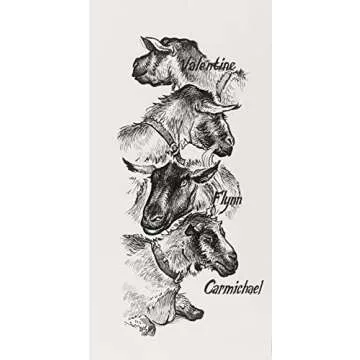 Faber-Castell Pitt Artist Pens for All Creatives