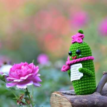 KALAWALK Funny Crochet Pickles with Affirmations Cards