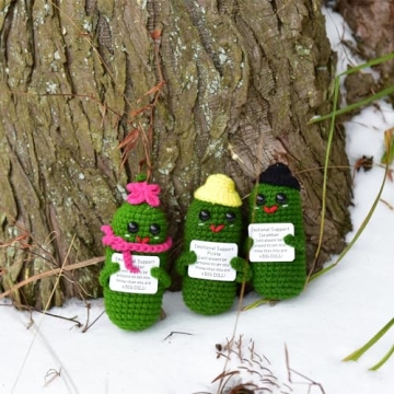 KALAWALK Funny Crochet Pickles with Affirmations Cards