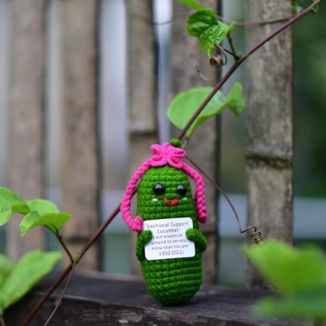 KALAWALK Funny Crochet Pickles with Affirmations Cards