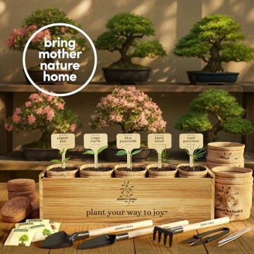 Planter's Choice Bonsai Tree Starter Kit - Unique Gift Idea