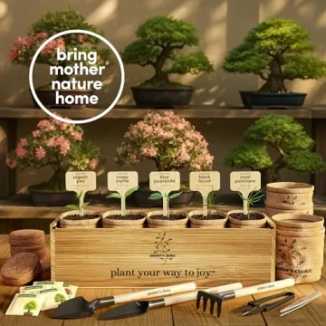 Planter's Choice Bonsai Tree Starter Kit - Unique Gift Idea