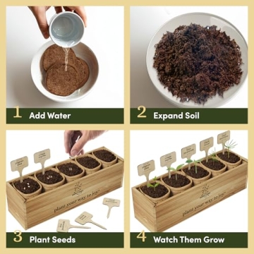 Planter's Choice Bonsai Tree Starter Kit - Unique Gift Idea