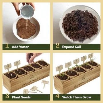 Planter's Choice Bonsai Tree Starter Kit - Unique Gift Idea