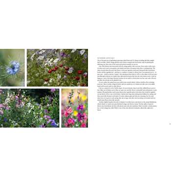 Cottage Gardens: A Celebration of Britain's Most Beautiful Cottage Gardens, with Advice on Making Your Own