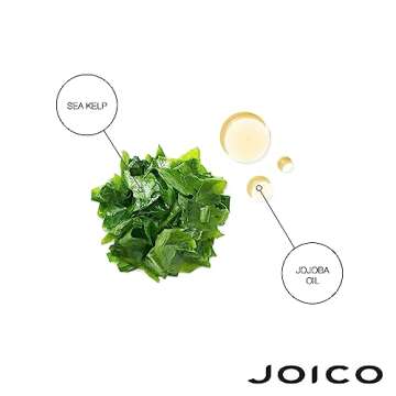 Joico Moisture Recovery Moisturizing Shampoo & Conditioner | For Thick, Coarse, Dry Hair | Restore Moisture, Smoothness, Strength, & Elasticity | Reduce Breakage | With Jojoba Oil & Shea Butter