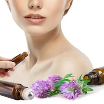 Loretoy Glass Spray Bottle Kit – Versatile Eco-Friendly Set