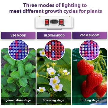 KingLED 3000W LED Grow Lights for Indoor Plants