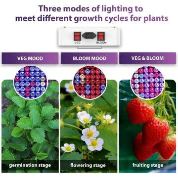KingLED 3000W LED Grow Lights for Indoor Plants