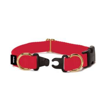 PetSafe KeepSafe Break-Away Collar, Prevent Collar Accidents for Your Dog or Puppy, Improve Safety, ...