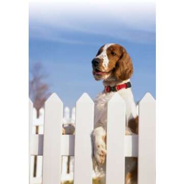 PetSafe KeepSafe Break-Away Collar, Prevent Collar Accidents for Your Dog or Puppy, Improve Safety, Compatible with Lead Use, Adjustable Sizes