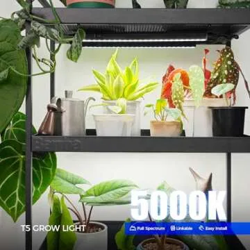 Barrina T5 Grow Lights for Indoor Plants - Full Spectrum 1ft LED Strips with Magnetic Installation