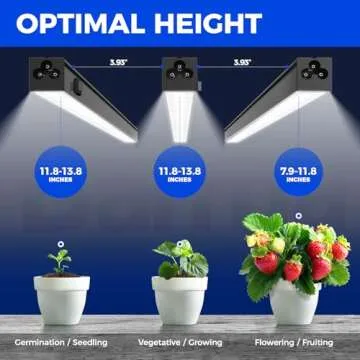 Barrina T5 1ft LED Grow Lights Full Spectrum for Plants