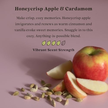 Enviroscent Non-Toxic Seasonal Scent Sticks Home Freshener