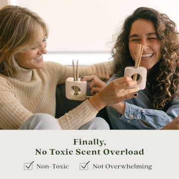 Enviroscent Non-Toxic Seasonal Scent Sticks Home Freshener