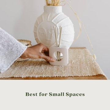 Enviroscent Non-Toxic Seasonal Scent Sticks Home Freshener