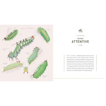 The Naturalist's Notebook: An Observation Guide and 5-Year Calendar-Journal for Tracking Changes in the Natural World around You