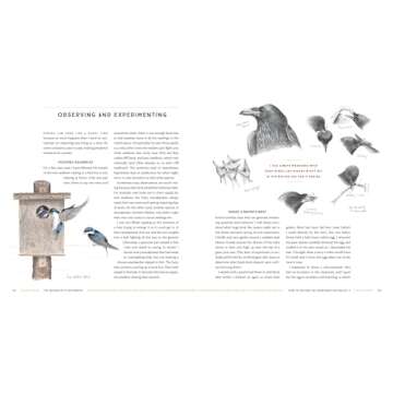 The Naturalist's Notebook: An Observation Guide and 5-Year Calendar-Journal for Tracking Changes in the Natural World around You