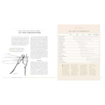 The Naturalist's Notebook: An Observation Guide and 5-Year Calendar-Journal for Tracking Changes in the Natural World around You