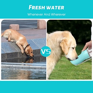 Kalimdor Portable Leak Proof Dog Water Bottle for Pets