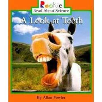 A Look at Teeth (Rookie Read-About Science: Animal Adaptations & Behavior)
