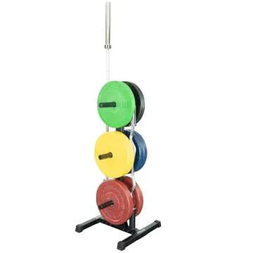 Best Fitness Body-Solid (BFWT10) Weight Tree Rack for Olympic Plates - Bumper Plate Storage, Weight Plate Holder
