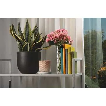 B&T Collection Clear Acrylic Book Vase for Flowers w/Inspirational Message – Modern Room Decor: Clean Girl Aesthetic Vase – Book Vase for Neutral Decor – Cute Housewarming Gift