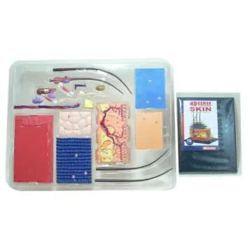 Aoshima No.18 Skin Anatomy Model - 4D Vision Puzzle