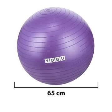 YOGU Stability Exercise Ball 65cm Yoga Balance Ball Birthing Ball with Air Pump Anti-Slip & Anti-Burst Supports 2000lbs Great for Yoga Pilates Abdominal Workout Fitness Ball and Office Chair