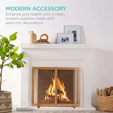 Modern Wrought Iron 2-Door Fireplace Screen for Safety