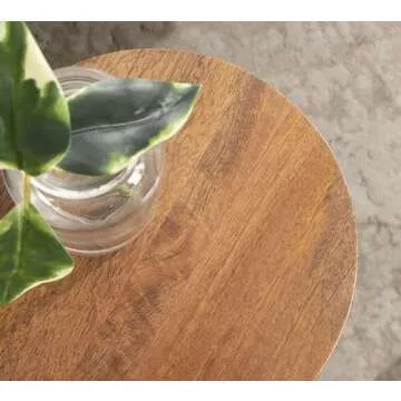 Kate and Laurel Dahl Wooden Round Drink Table, 8 x 23, Walnut Brown, Mid-Century Modern Circle Wood Accent Pedestal Table for Living Room Plant Stand or Small Bedroom Nightstand