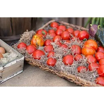 SuperMoss (26914) Spanish Moss Preserved, Natural, 8oz (200 cubic inch)