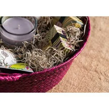 SuperMoss (26914) Spanish Moss Preserved, Natural, 8oz (200 cubic inch)