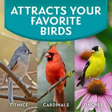 Morning Song Clean & Free Bird Food for All Birds