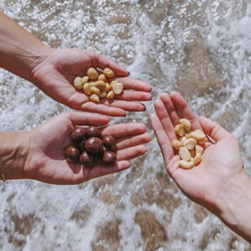 Island Harvest Organic Macadamia Nuts with Sea Salt
