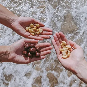 Island Harvest Organic Macadamia Nuts with Sea Salt
