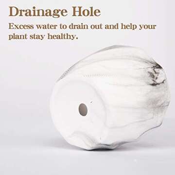 Miracliy Succulent Pots 2.75 inch Marble Mini Ceramic Planters Cactus Bonsai Flower Pots with Drainage Hole (Set of 6)