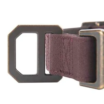 Carhartt Nylon Duck Dog Collar, Fully Adjustable Durable 2-Ply Cordura Nylon Canvas Collars for Dogs, Deep Wine, Large