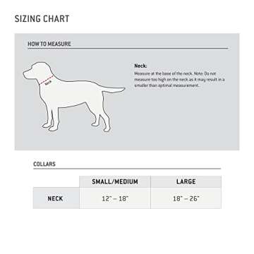 Carhartt Nylon Duck Dog Collar, Fully Adjustable Durable 2-Ply Cordura Nylon Canvas Collars for Dogs, Deep Wine, Large