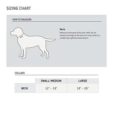 Carhartt Nylon Duck Dog Collar, Fully Adjustable Durable 2-Ply Cordura Nylon Canvas Collars for Dogs, Deep Wine, Large