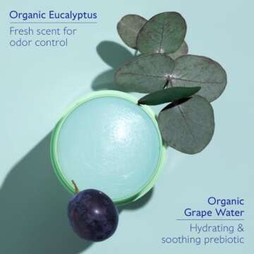 Caudalie Vinofresh Natural Deodorant Stick, Aluminum Free and Alcohol Free, with Eucalyptus & Grape