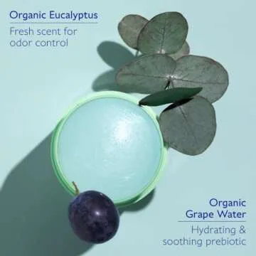 Caudalie Vinofresh Natural Deodorant Stick, Aluminum Free and Alcohol Free, with Eucalyptus & Grape